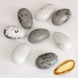 Dragées Galéo Gianduja 