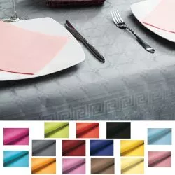 Nappe papier couleur