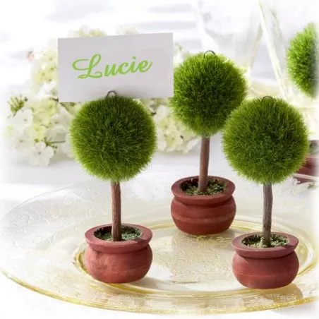Arbre marque place Arbre marque place
