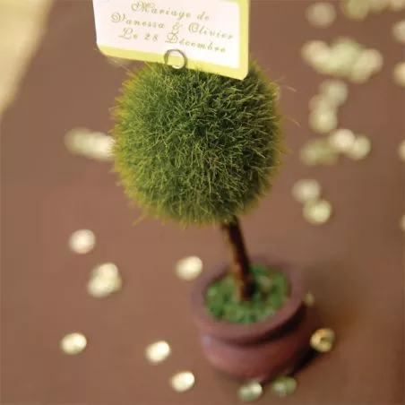 Arbre marque place Arbre marque place