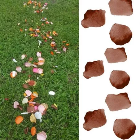 120 pétales de rose - Chocolat 120 pétales de rose - Chocolat