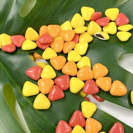 Dragées Coeurs chocolat thème Boisé - 500gr Dragées Coeurs chocolat thème Boisé - 500gr