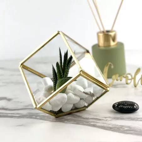 Terrarium - Cube Prisme cadeau déco Terrarium - Cube Prisme cadeau déco