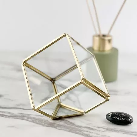 Terrarium - Cube Prisme cadeau déco Terrarium - Cube Prisme cadeau déco