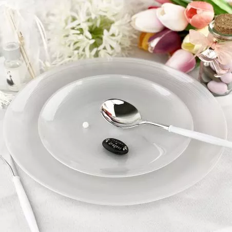 ( Pack 12 ) Assiettes Nacre réutilisables ( Pack 12 ) Assiettes Nacre réutilisables
